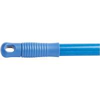 Manche, Fibre de verre, Pointe Connexion rapide, 1" dia, 60" lo Sidevic Inc.