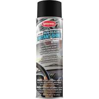 Auto-Care Non-Silicone Instant Shine Sidevic Inc.