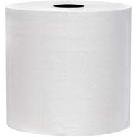 Snow Soft TAD Premium Hand Towel Rolls, 2 Ply, Standard, 700' L Sidevic Inc.