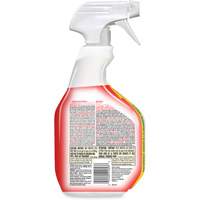 Nettoyant d&eacute;sinfectant contre les taches et odeurs biologiques, 946 ml, Bouteille &agrave; g&acirc;chette Sidevic Inc.