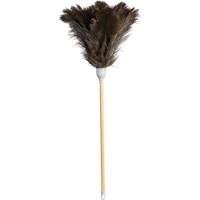 Superior Feather Duster, Ostrich Feather Sidevic Inc.