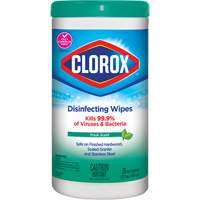 Disinfecting Wipes, 75 Count Sidevic Inc.
