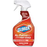 All-Purpose Disinfecting Cleaner Spray, 946 ml, Trigger Bottle Sidevic Inc.