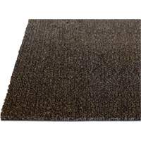 Tapis dint&eacute;rieur Palliser, Essuie-pieds/grattoir, 3-1/2' x 6' x 5/16", Anglis Sidevic Inc.
