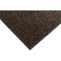 Tapis dint&eacute;rieur Palliser, Essuie-pieds/grattoir, 3-1/2' x 6' x 5/16", Anglis Sidevic Inc.