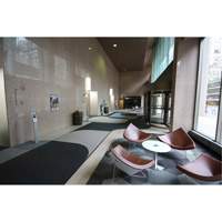Tapis dentr&eacute;e Supreme Knob, Essuie-pieds/grattoir, 13-5/12' x 75-1/2' x 7/16", Charbon Sidevic Inc.