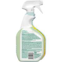CloroxPro Clorox EcoClean Disinfecting Cleaner, 946 ml, Trigger Bottle Sidevic Inc.