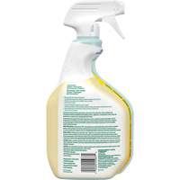 CloroxPro Clorox EcoClean All-Purpose Cleaner, 946 ml, Trigger Bottle Sidevic Inc.