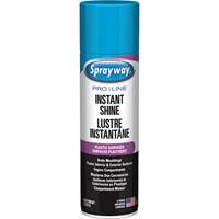 Pro Line Instant Shine for Plastic Surfaces, 11 oz., Aerosol Can Sidevic Inc.