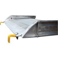 Aluminum Walk Ramp, 1000 lbs. Capacity, 38" W x 193-1/8" L Sidevic Inc.