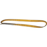 &eacute;lingues de levage en polyester, Pli Simple, Sans fin, Type 5, 2" la x 3' lo, Capacit&eacute; verticale 6200 lb Sidevic Inc.