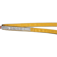 &eacute;lingues de levage en polyester, Pli Simple, Sans fin, Type 5, 2" la x 3' lo, Capacit&eacute; verticale 6200 lb Sidevic Inc.