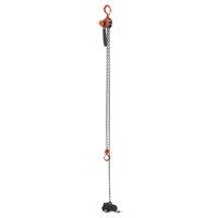 Mini Lever Hoist, 15' Lift, 500 lbs. (0.25 tons) Capacity, Steel Chain Sidevic Inc.