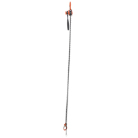 Mini Lever Hoist, 10' Lift, 1000 lbs. (0.5 tons) Capacity, Steel Chain Sidevic Inc.