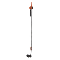 Mini Lever Hoist, 15' Lift, 1000 lbs. (0.5 tons) Capacity, Steel Chain Sidevic Inc.
