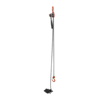 Mini Lever Hoist, 20' Lift, 1000 lbs. (0.5 tons) Capacity, Steel Chain Sidevic Inc.