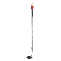 Mini Lever Hoist, 20' Lift, 1000 lbs. (0.5 tons) Capacity, Steel Chain Sidevic Inc.