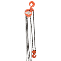 Chain Hoist, 10' Lift, 1000 lbs. (0.5 tons) Capacity, Alloy Steel Chain Sidevic Inc.