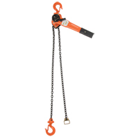 Lever Chain Hoist, 10' Lift, 1000 lbs. (0.5 tons) Capacity, Alloy Steel Chain Sidevic Inc.