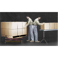 Spring-Operated Pallet Lifters - Pallet Pal&reg;, 43-5/8" L x 43-5/8" W, 4500 lbs. Cap. Sidevic Inc.