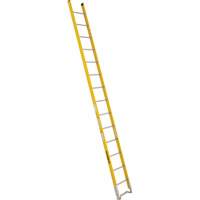 Single Section Straight Ladder - 6100 Series, 14', Fibreglass, 375 lbs., CSA Grade 1AA Sidevic Inc.