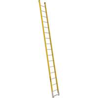 Single Section Straight Ladder - 6100 Series, 16', Fibreglass, 375 lbs., CSA Grade 1AA Sidevic Inc.