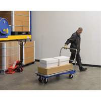 Platform Cart, 48" L x 24" W, 1500 lbs. Capacity, Mold-on Rubber Casters Sidevic Inc.