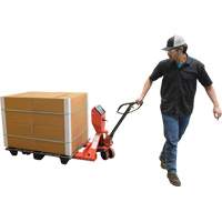 Pallet Truck, 48" L x 27.5" W, 5000 lbs. Cap. Sidevic Inc.