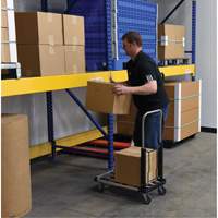 Fold-Up Platform Truck, Stainless Steel, 300 lbs., 28" L x 16" W, 33-1/2" High Sidevic Inc.