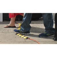 Syst&egrave;me de protection de c&acirc;bles Ultra-Sidewinder - petit , 13,125" x 3" x 0,75", 32000 lb (16 tonnes) Sidevic Inc.
