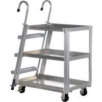 Stockpicker Truck, Aluminum, 21-7/8" W x 40" D, 3 Shelves, 660 lbs. Capacity Sidevic Inc.