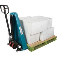 Manual Scissor Skid Lift, 45-1/4" L x 20-1/4" W, Steel, 3300 lbs. Capacity Sidevic Inc.