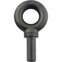 Alloy Steel Eye Bolt, 2-1/2" Dia., 3-1/2" L, 26600 lbs. (13.3 tons)/26600 lbs. Capacity Sidevic Inc.
