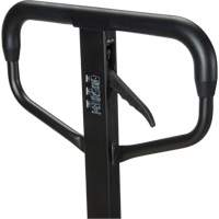 Transpalette manuel Quick-Lift, Acier, 48" lo x 20,5" la, Capacit&eacute; 5500 lb Sidevic Inc.