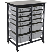Mobile Bin Storage Unit, Single-sided, 12 bins, 30-3/4" W x 20" D x 37-1/2" H Sidevic Inc.