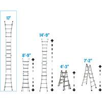 Telescoping Multi-Position Ladder, Aluminum, 300 lbs., CSA Grade 1A Sidevic Inc.