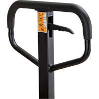 Transpalette manuel, Acier, 48" lo x 21" la, Capacit&eacute; 5500 lb Sidevic Inc.
