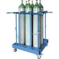 6-Cylinder Forklift Cylinder Storage Caddy Sidevic Inc.