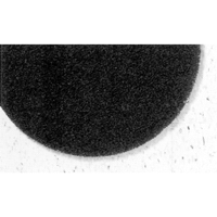 7300 Pro-Strip Pads, 17", Stripping, Black Sidevic Inc.