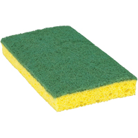 &eacute;ponge &agrave; r&eacute;curer pour travaux moyens Scotch-Brite, &agrave; r&eacute;curer, 3-3/5" la x 6-1/10" l Sidevic Inc.