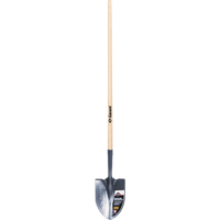 Pelle ronde Pro, Lame Acier durci, Bois, Manche Droit Sidevic Inc.
