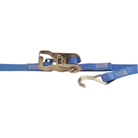 Heavy-Duty Utility Straps, Wire Hook, 1" W x 13' L, 167 lbs. (76 kg) Working Load Limit Sidevic Inc.