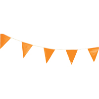 Fanions, 60' lo, Orange Sidevic Inc.