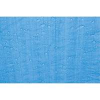 Tarp, Standard Duty, Blue, 7' x 5' x 4 mils Sidevic Inc.