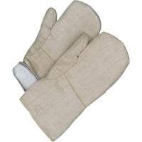 Gander Brand Mitt, Fibreglass, One Size, Protects Up To 608° F (320° C ) Sidevic Inc.