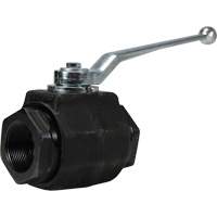 High Pressure Full-Bore Ball Valve, Steel, Manual, FNPT x FNPT Sidevic Inc.
