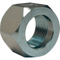 Dixon&reg; Mining Hex Nut, 1", Zinc Plated, NPT Thread Sidevic Inc.