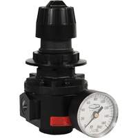 Wilkerson Regulator R26, 1/2" NPT, 300 psi Max. PSI, Standard Sidevic Inc.