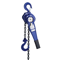 Lever Hoist with 3' Chain, 3' Lift, 500 lbs. (0.25 tons) Capacity Sidevic Inc.