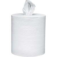 Scott&reg; Essential Paper Towels, 2 Ply, Centre Pull, 625' L Sidevic Inc.